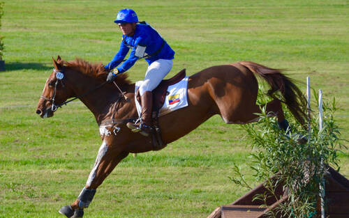 Description de l'image