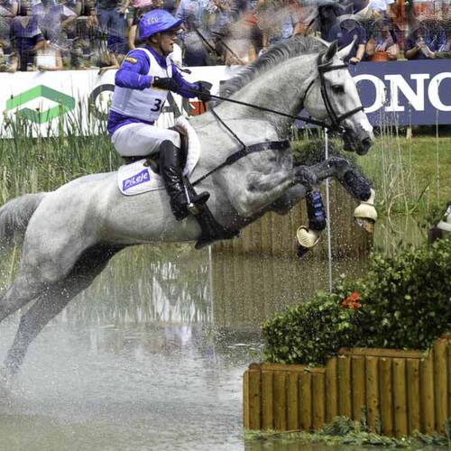 Meyer’s Happy Holstein