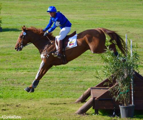 Image de ALTIER D’AUROIS SF