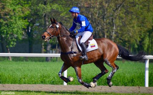 Image de ONZIÈME FRAMONI CS